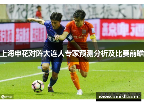 上海申花对阵大连人专家预测分析及比赛前瞻