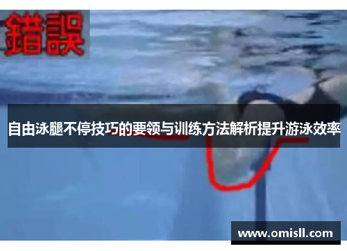 自由泳腿不停技巧的要领与训练方法解析提升游泳效率