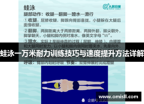 蛙泳一万米耐力训练技巧与速度提升方法详解