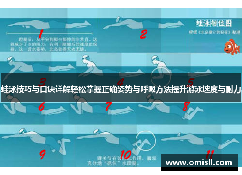 蛙泳技巧与口诀详解轻松掌握正确姿势与呼吸方法提升游泳速度与耐力